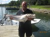 (08/22/2016) - Nice Striped Bass